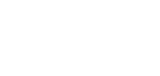Tata AIG insurance